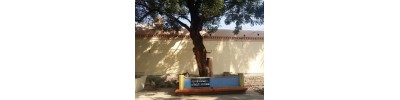 காசி விஸ்வநாதர்
